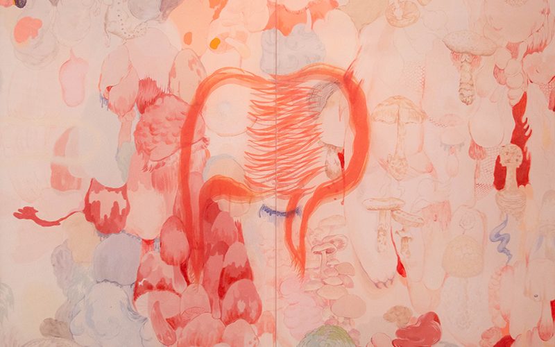 Febrero aniversario XVI-25 Febrero aniversario XVI-25